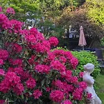 Pensión Gaestehaus Regina 4*