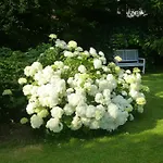 Pensión Gaestehaus Regina 4*