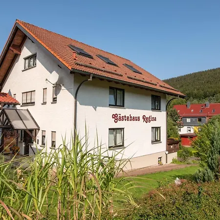 Gaestehaus Regina Рула