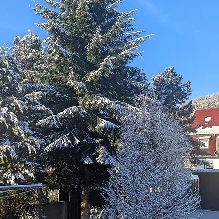 Konukevi Gaestehaus Regina 4*