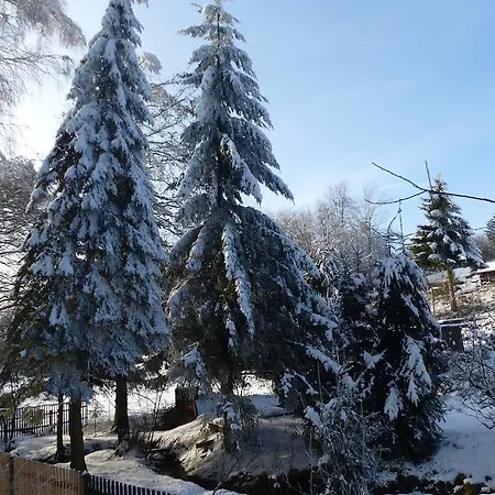 Gaestehaus Regina 4*