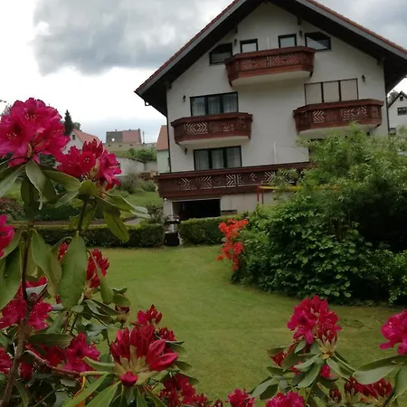 Konukevi Gaestehaus Regina 4*