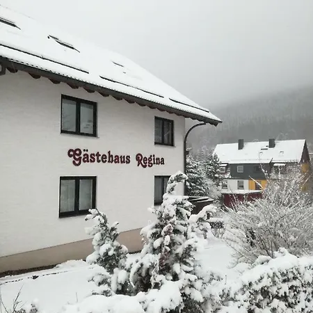 Affittacamere Gaestehaus Regina