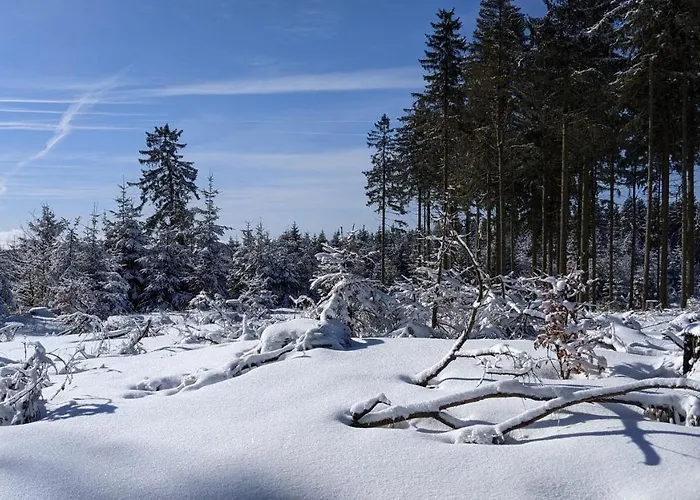 Gaestehaus Regina Ruhla
