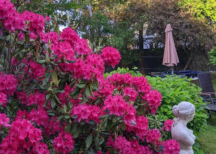 Pensjonat Gaestehaus Regina 4*