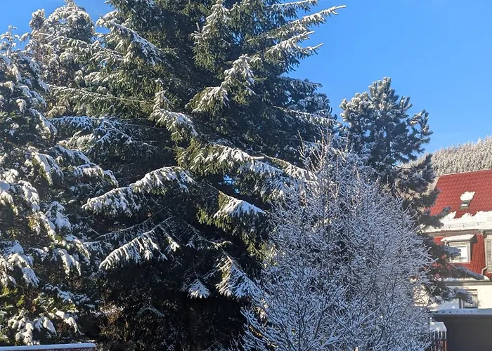 ゲストハウス Gaestehaus Regina 4*