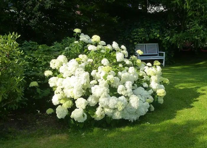 Pensjonat Gaestehaus Regina 4*