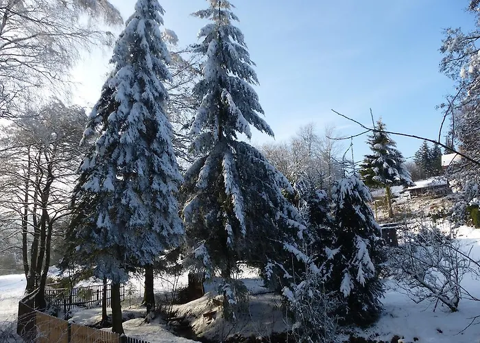 Gaestehaus Regina 4*